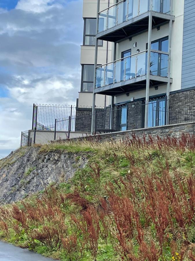 2 Plas Morolwg Aberystwyth Ngoại thất bức ảnh